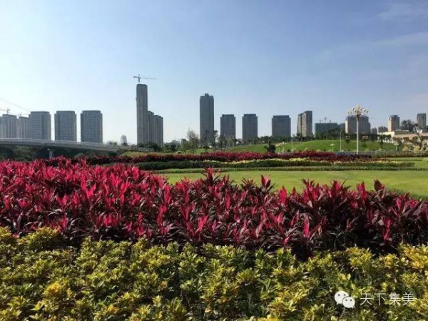 來(lái)自集美新城的告白：今年要變得更好，配得上你們的厚愛(ài)！