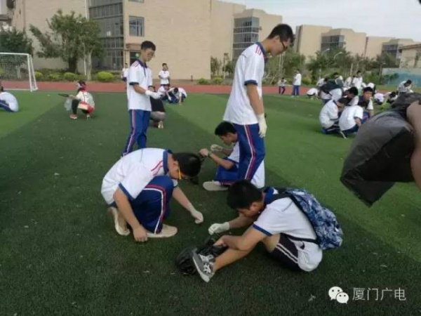 暖心暖城！現在才是廈門最美的樣子～你瞧，臺風過后“鳳凰花”都開了...
