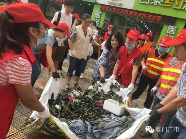 暖心暖城！現在才是廈門最美的樣子～你瞧，臺風過后“鳳凰花”都開了...