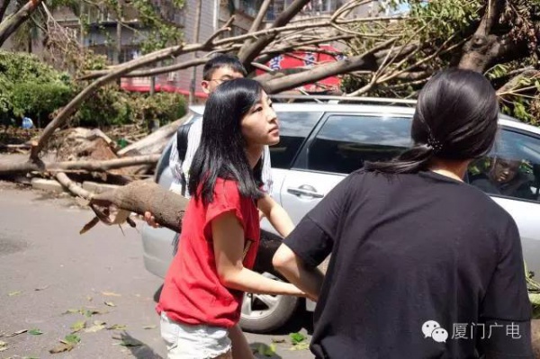 暖心暖城！現在才是廈門最美的樣子～你瞧，臺風過后“鳳凰花”都開了...