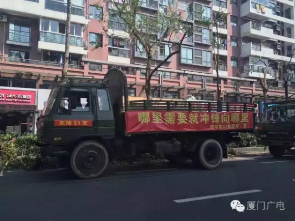 暖心暖城！現在才是廈門最美的樣子～你瞧，臺風過后“鳳凰花”都開了...