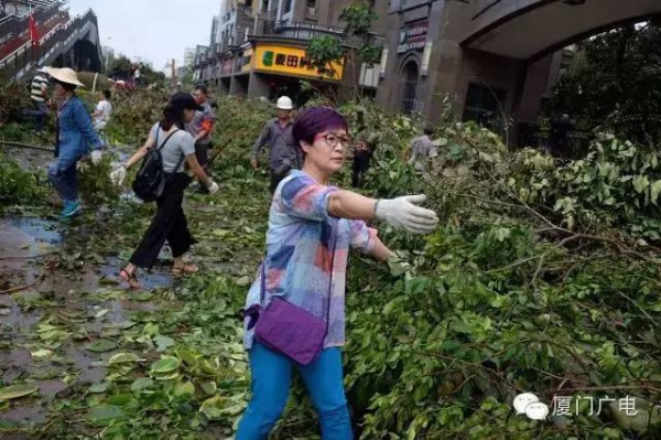 暖心暖城！現在才是廈門最美的樣子～你瞧，臺風過后“鳳凰花”都開了...