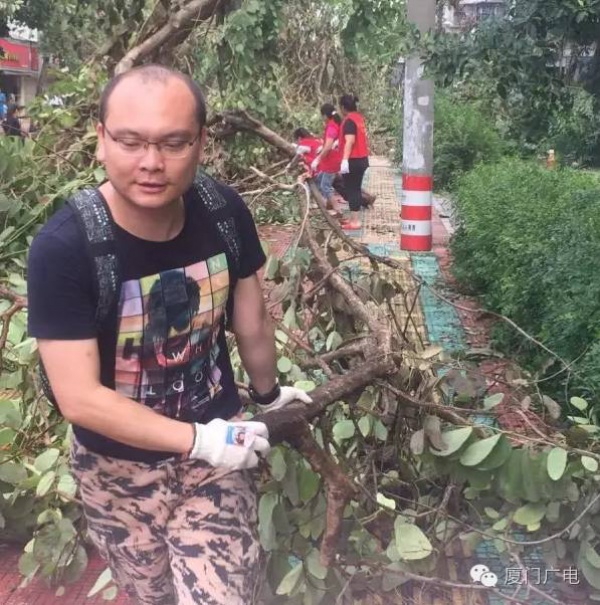 暖心暖城！現在才是廈門最美的樣子～你瞧，臺風過后“鳳凰花”都開了...