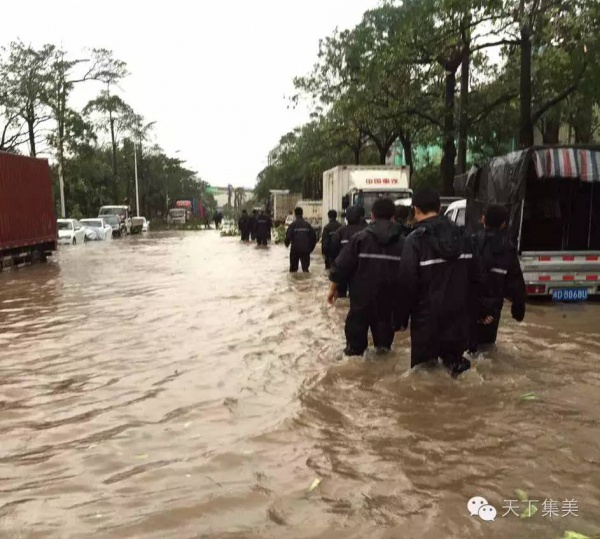 臺風中不能被遺忘的畫面，看一次感動一次！