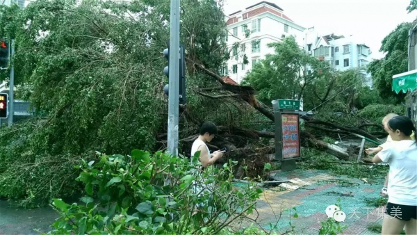 大量獨家航拍：超強臺風“莫蘭蒂”過境后，集美12小時震撼實景……
