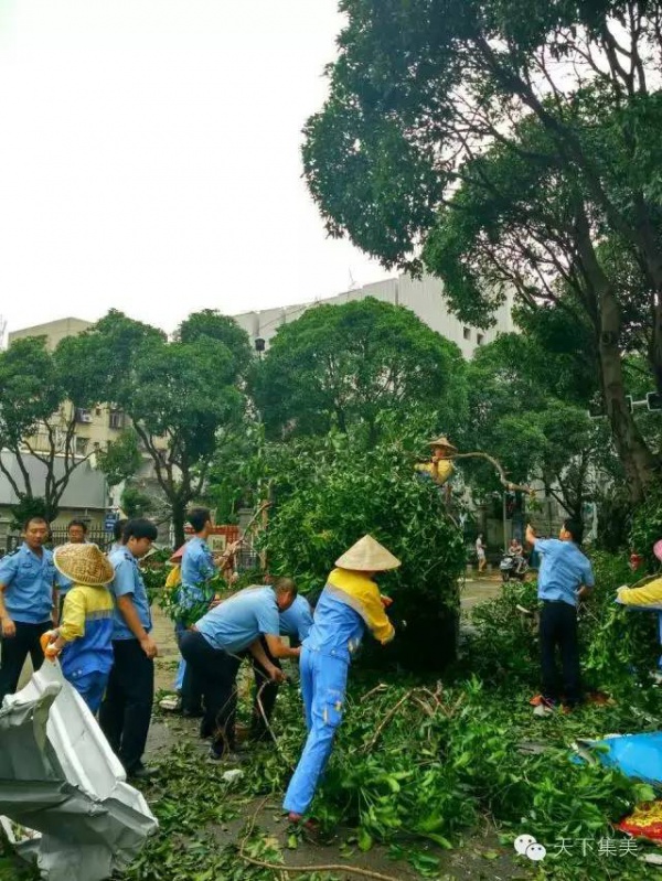 大量獨家航拍：超強臺風“莫蘭蒂”過境后，集美12小時震撼實景……