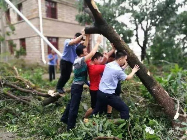 大量獨家航拍：超強臺風“莫蘭蒂”過境后，集美12小時震撼實景……