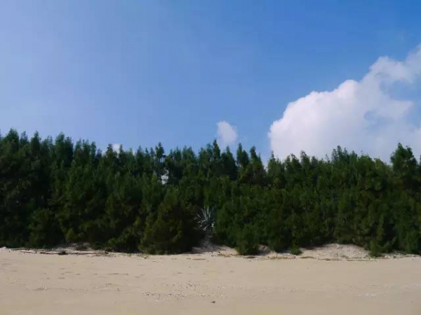 集美周邊游|白塘灣，枕一灣碧海藍(lán)天的夢境