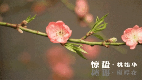 廈門女孩著涼感冒后變得嘴角歪斜，醫生說這個病近期高發，更可怕的還有……
