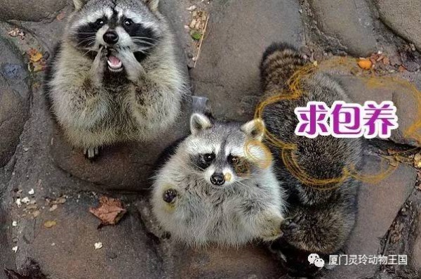 探索新奇的動物知識和傳統的古龍醬文化，來場一日游吧！