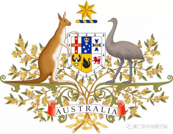 探索新奇的動物知識和傳統的古龍醬文化，來場一日游吧！