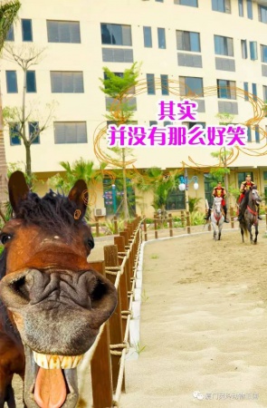 探索新奇的動物知識和傳統的古龍醬文化，來場一日游吧！