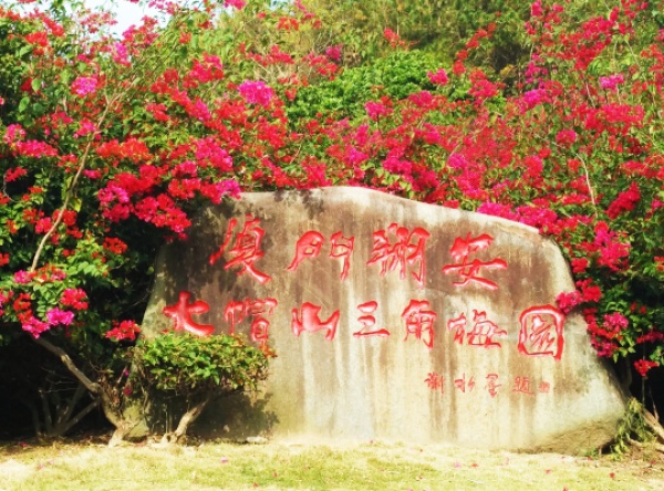 30元省啦！廈門這個4A級景區(qū)將免費開放！還有這些0元美景逛起來~