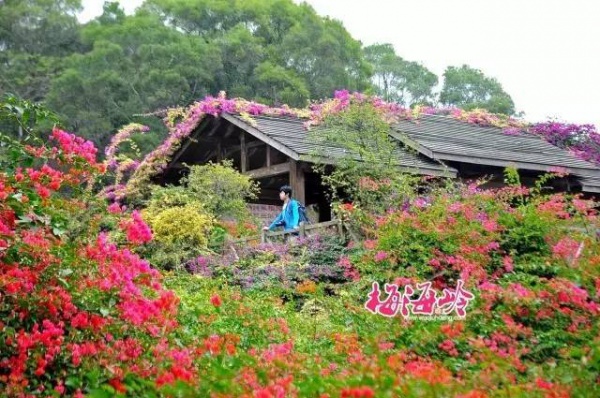 30元省啦！廈門這個4A級景區(qū)將免費開放！還有這些0元美景逛起來~