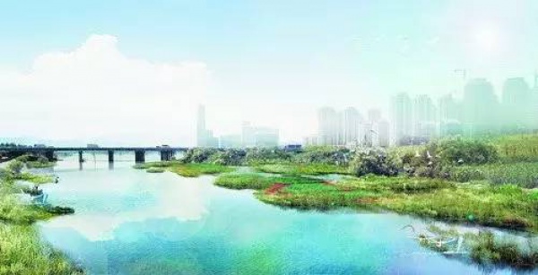 驕傲！杏林灣濕地公園再添“新名片”，廈門市唯一上榜，再過不久要驚艷登場(chǎng)！