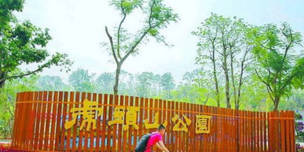 為了生男孩，廈門一媽媽拼命喝這種水！之后居然中毒，四肢發麻抽搐……醫生都驚呆了！