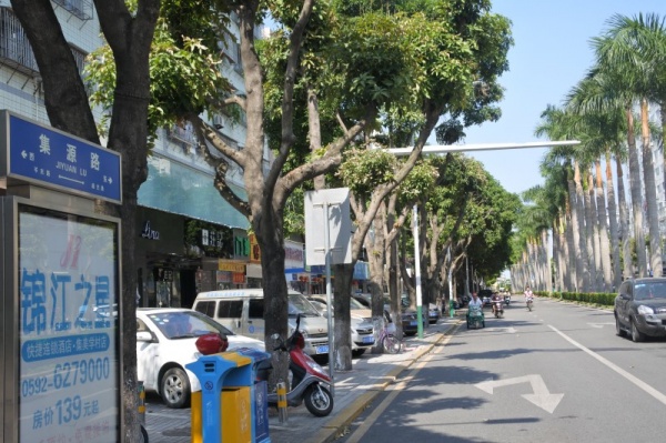 一場“大手術”讓集源路脫胎換骨，集美人紛紛驚呼太美了！