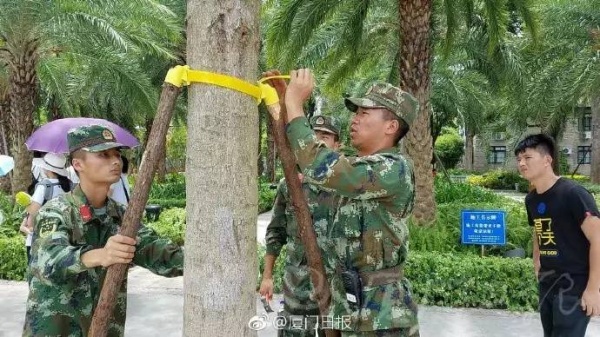 最新！雙臺風之一“納沙”明早8點前后登陸福建！已對臺灣造成重創，廈門或成暴雨重災區……
